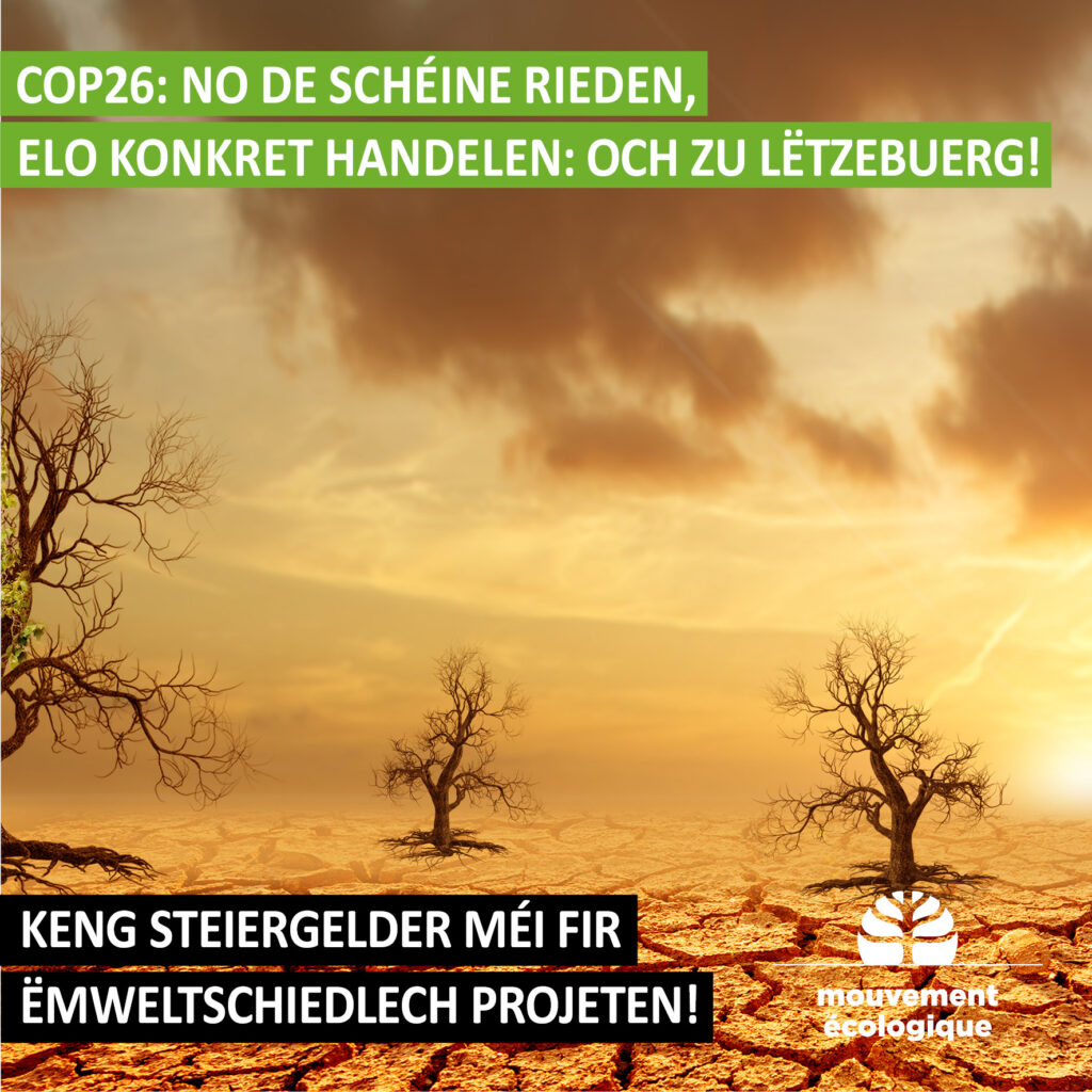 Mouvement Ecologique zur COP26