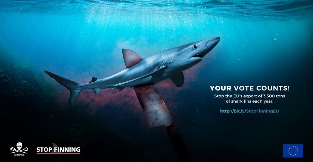 Stop Finning – Stop the Trade