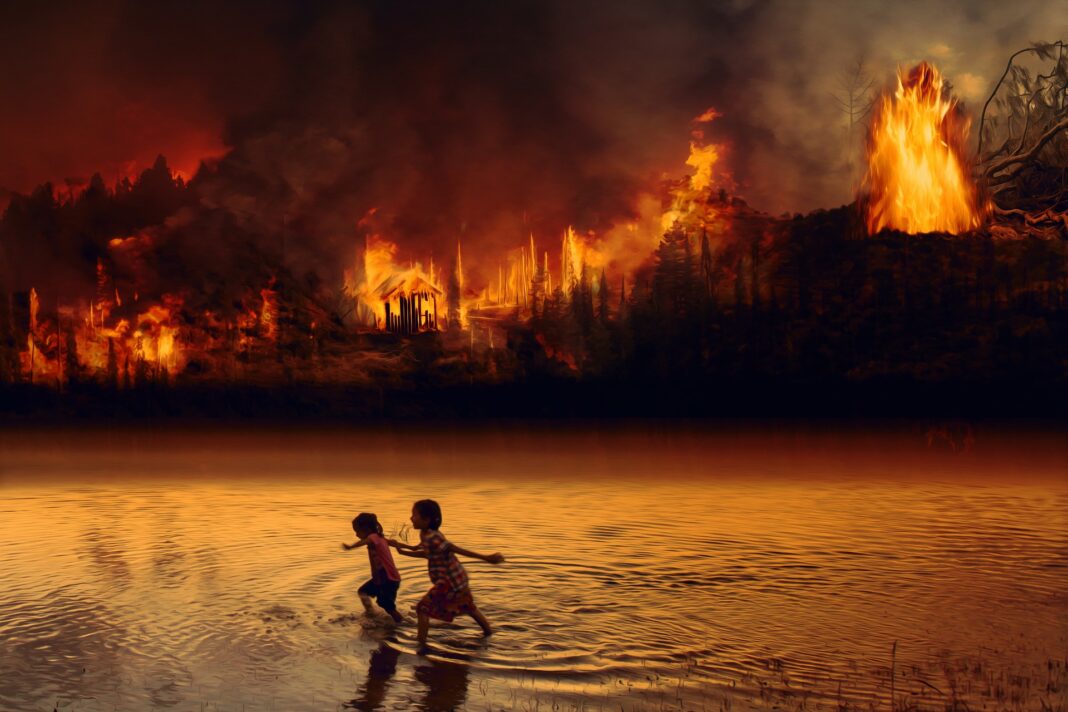 Incendies de forêt de plus en plus dévastateurs